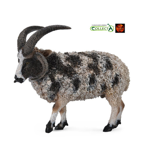 Jacob sheep farm - jacob, toy