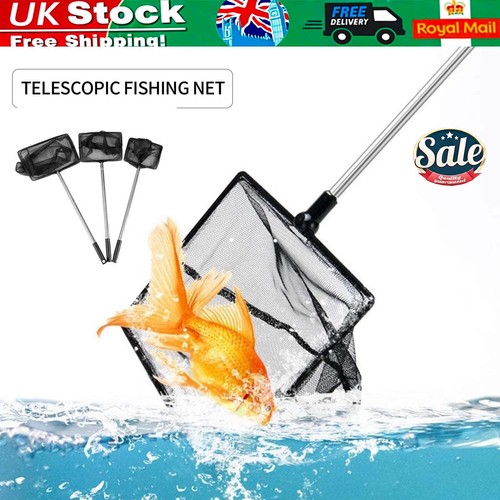 Pond net catch - net, fish