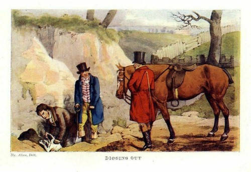 Fox hunting dog - attempts, to