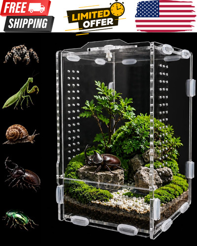 Jumping spider enclosure - jumping,