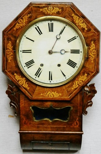 Antique black forest - 8, day