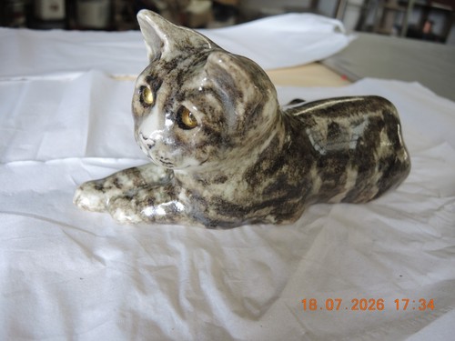 Winstanley cat size grey - cat, 3