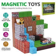100Pcs Minecraft Magnetic