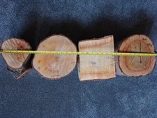 4 x Woodturning  blanks, WILD