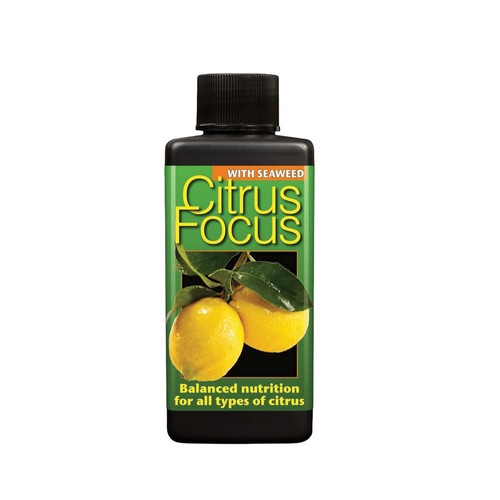 Citrus focus 100ml liquid - citrus,