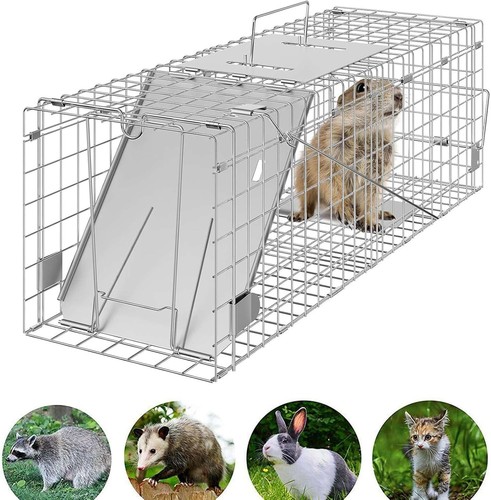 Live animal cage - animal, rabbit