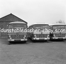 BUS NEGATIVE: PREMIER