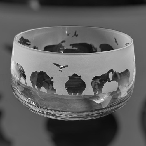 Hippo frieze 21cm boxed clear - hippo,