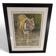 Stephen Gayford Signed Limited