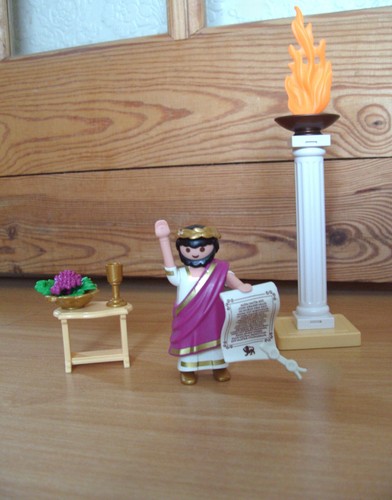 Playmobil 100 complete set - 100%,
