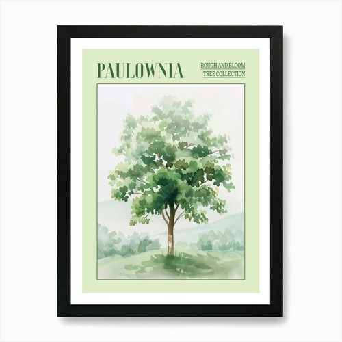 Paulownia tree atmospheric - tree,