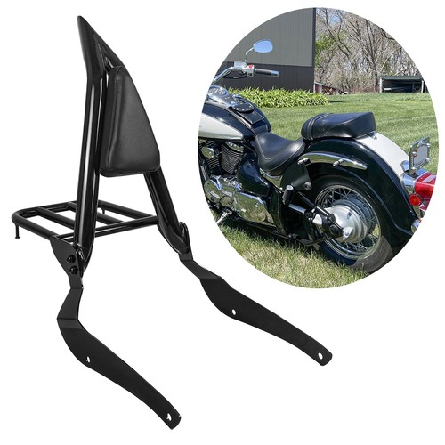 Rear passenger sissy bar - rear,