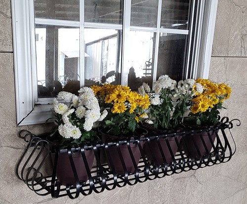Window box wrought - 48",