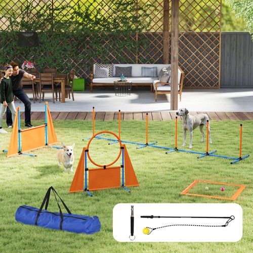 Dog agility seven piece - dog, seven-piece
