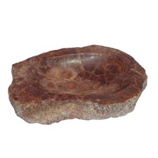 Fossil Coral Stone Bowl