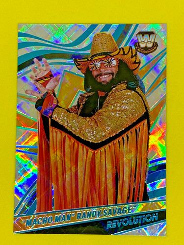 Macho man randy savage - man,