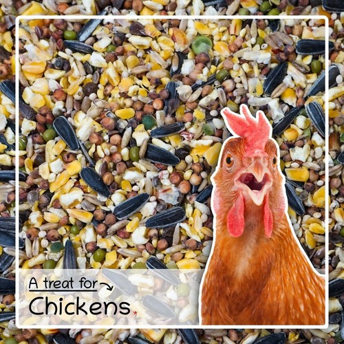 Chicken food treat mix - food,