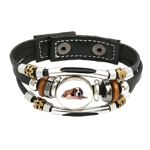 Bernard dog pet family - st.,
