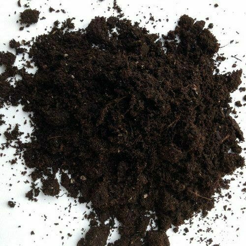 Irish sphagnum moss - , peat