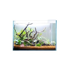 Swell Glass Aquarium 30cm –
