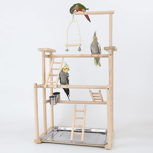 Bird perch stand - stand, toy,