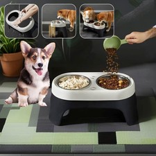 Elevated Dog Bowl, Stainless