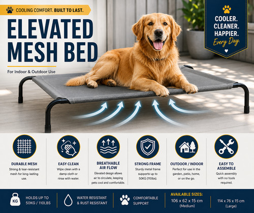 Raised dog bed elevated pet - dog,