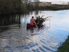 Photo A3 Firewood collected in