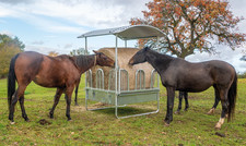 Covered Tombstone 8 space