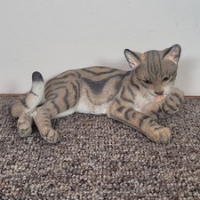 Country Artists Cat Lying