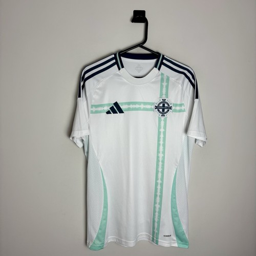 Northern ireland football - northern,