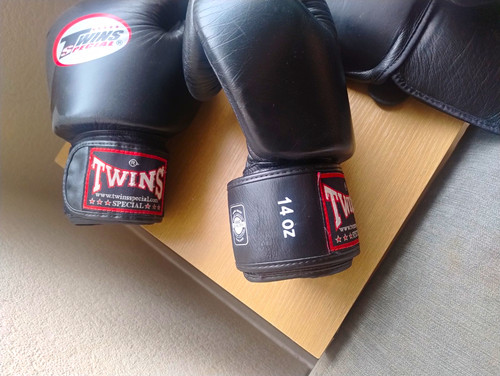 Twins special boxing training - twins,