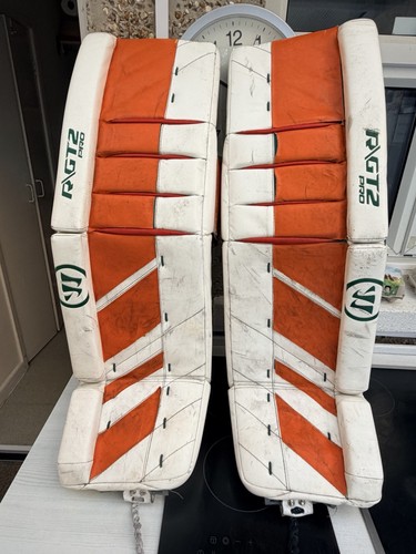Ice hockey warrior - r, pro