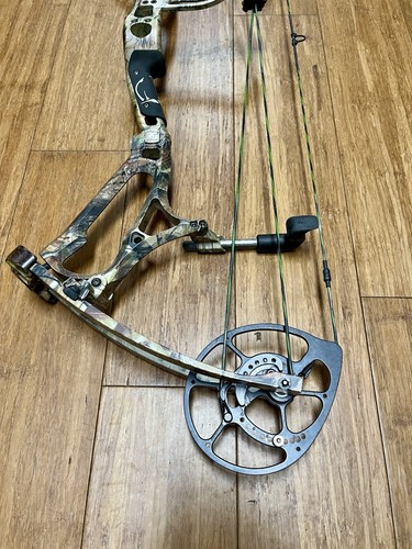 Bear motive realtree - motive,
