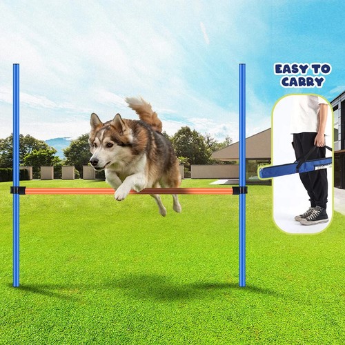 Pawise dog agility - pawise, training