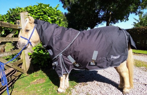 Shetland turnout rug with - rug,
