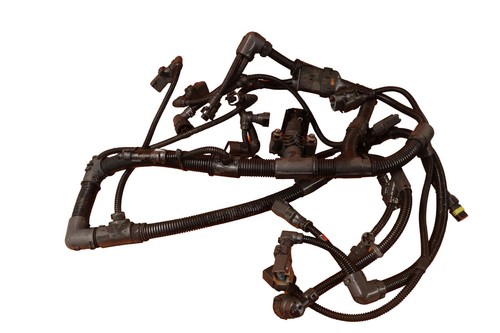Fits daf engine wiring - engine, loom