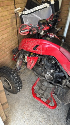 Quadzilla dinli 450 - quadzilla, and
