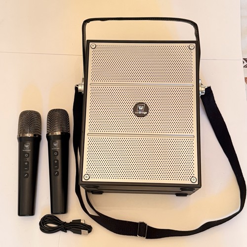 100w powerful voice - 100w,