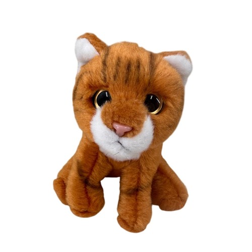 Russ baby yomiko - russ, tabby