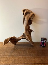 Driftwood best,  heavy red