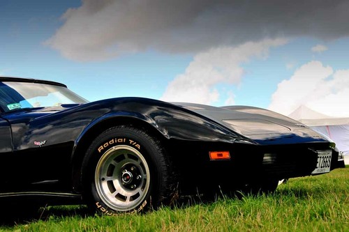 Chevrolet corvette stingray - chevrolet,