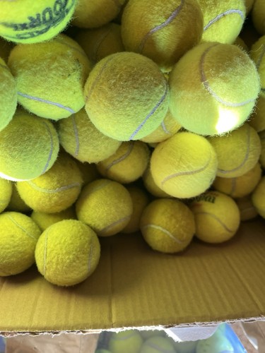 Used tennis balls good - tennis,
