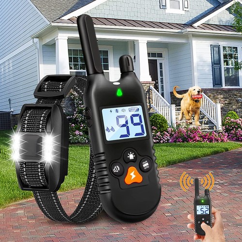 Dog shock collar - collar,