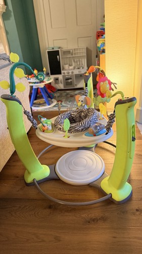 Evenflo baby bouncer the - evenflo,