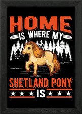 Shetty Shetland Pony Framed