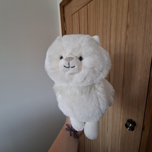 Jellycat carissa persian - carissa, cat