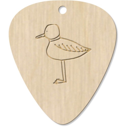 Seagull wooden guitar - 'seagull',