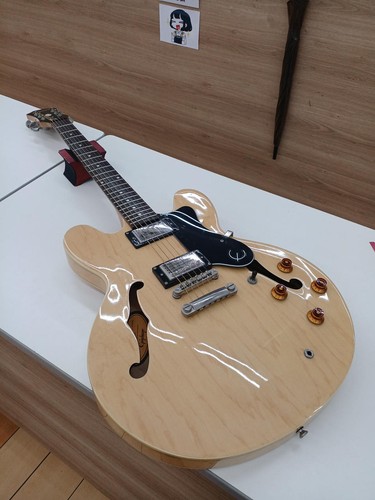 Epiphone dot hollow body - na,