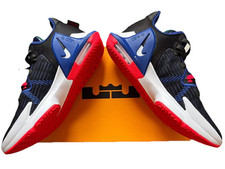 Nike Lebron Mens Witness VI